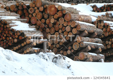 Felled timber is laid to rest on the border of Kawai Village, Iwate Prefecture. Kawai Village was the last place in Japan to have electricity. Felled timber is laid to rest on the border of Kawai Village, Iwate Prefecture. Kawai Village was the last place in Japan to have electricity. 124345641