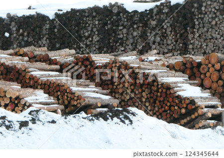 Felled timber is laid to rest on the border of Kawai Village, Iwate Prefecture. Kawai Village was the last place in Japan to have electricity. 124345644