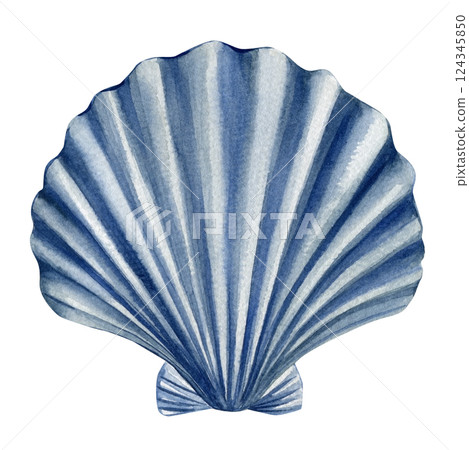 blue seashell watercolor illustration, ocean shell isolated on white, marine nature element, tropical sea object 124345850