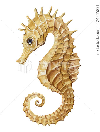 yellow seahorse watercolor illustration marine animal isolated ocean creature painting, underwater tropical sea wildlife 124345851