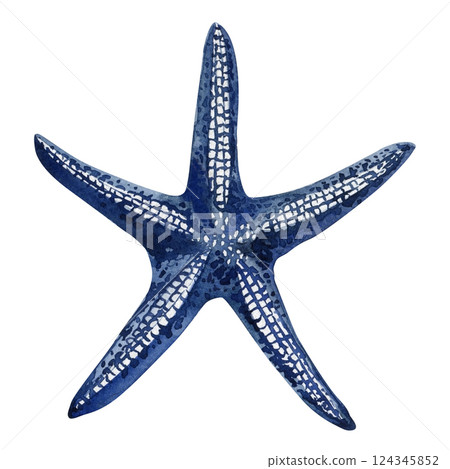 blue starfish watercolor illustration, marine sea animal isolated white, tropical ocean creature, underwater nature art 124345852