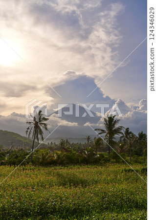 View of the mountain against a background of palm trees and a cornfield. Panorama of Agung volcano covered with clouds before sunset. View of the mountain against a background of palm trees and a cornfield. Panorama of Agung volcano covered with clouds before sunset. 124346029