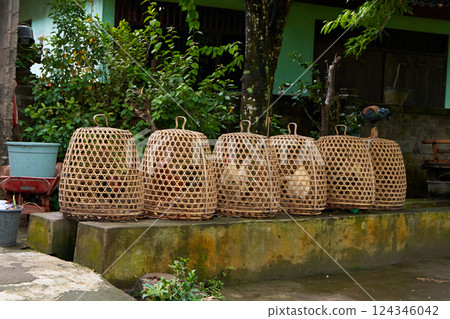 A row of straw cages for fighting roosters stands along a road in an Asian village. 124346042