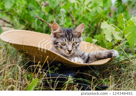 Cute kitten lounging in a straw hat outdoors. 124346491