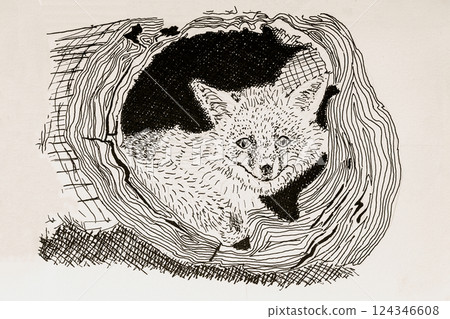 Hand-drawn fox curled in tree hollow surrounded by wood texture and ink lines. Concept of wildlife, forest animal and cozy natural shelter 124346608