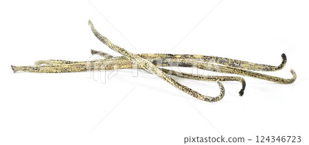 White / yellow mould or mildew growing on vanilla sticks stored improperly in wet and cold fridge - close up detail photo, isolated on white background 124346723