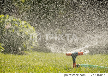 Watering garden with a hose at heat summer. Close up. Automatic smart irrigation system. 124346844