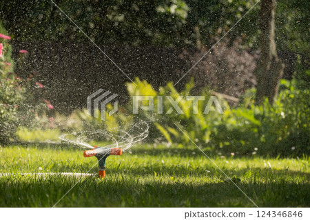 Green lawn automatic irrigation system in park. Close up. Automatic smart irrigation system. 124346846