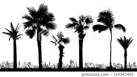 Palm trees silhouette. Not AI, Vector illustration. 124347405