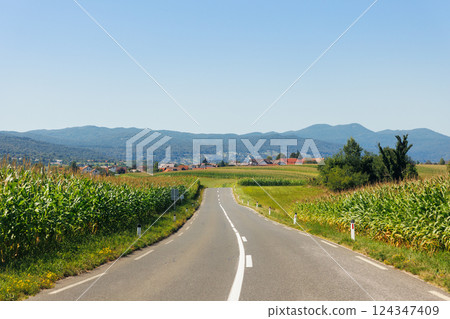 Scenic mall countryside farm rural road green lush grass meadow mountain road alpine Austria agricultural field. Panoramic Alps grassland forest pasture path. Family nature journey trip 124347409
