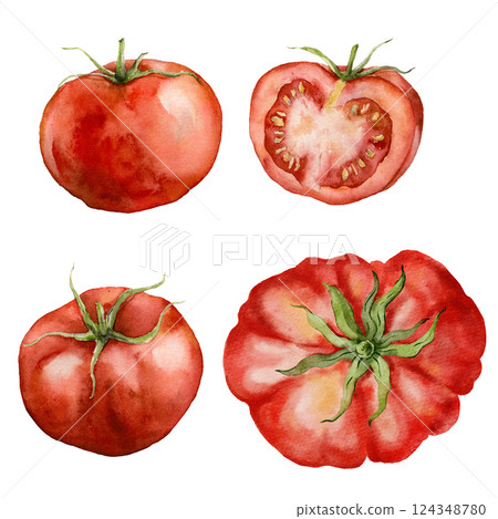 Watercolor vegetable set of tomatoes. Hand-drawn garden harvest. Tasty food illustration for restaurant and cafe interior, veggie market drawing print, fabric or background. 124348780