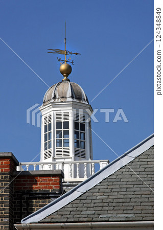 Weather vane 124348849