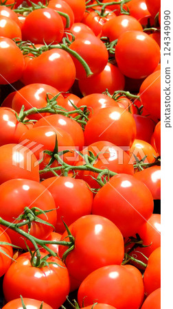 Tomato vertical Tomato vertical 124349090
