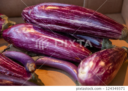 Striped purple eggplants with glossy skin at a farmers market. Ideal for food photography, organic 124349371