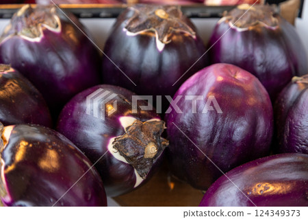 Fresh round eggplants with glossy purple skin at a farmers market. Ideal for food photography Fresh round eggplants with glossy purple skin at a farmers market. Ideal for food photography 124349373