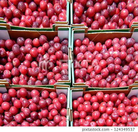 Six plum crates Six plum crates 124349537