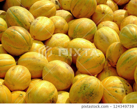 Bunch of melons Bunch of melons 124349739