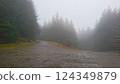 Whinlatter Forest Park, UK - 3.10.2018 An empty crossroad with two dirt roads leading to two directions in a foggy forest during heavy rain without hikers under a cloudy sky 124349879