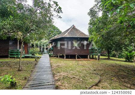 River boat trip at Parana do Mamori in the Amazon rainforest, Ma 124350092