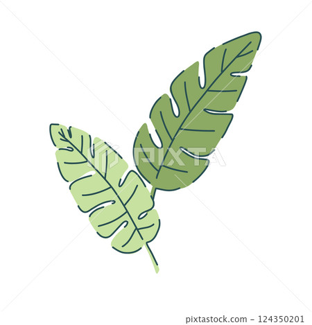 Hand drawn tropical leaves illustration featuring monstera and palm leaves in green shades. Modern flat design style. Perfect for botanical prints, web design, textile patterns, cards, and decor Hand drawn tropical leaves illustration featuring monstera and palm leaves in green shades. Modern flat design style. Perfect for botanical prints, web design, textile patterns, cards, and decor 124350201