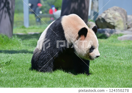 Relaxing good beach Relaxing good beach 124350278