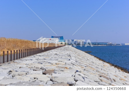 Scenery around Ichikawa Shiohama Station, Ichikawa City, Chiba Prefecture March 2025 124350668