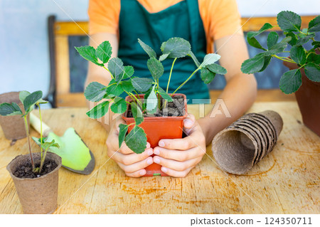 Child holding a young strawberry plant in a pot, ready for planting, symbolizing gardening, sustainability, and eco-friendly living. 124350711