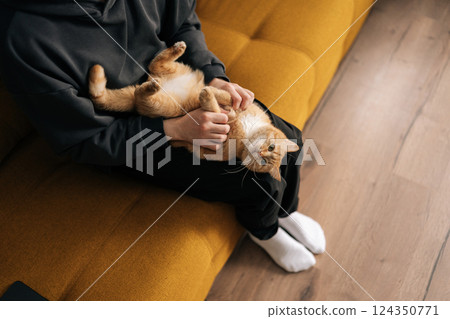 Top view of unrecognizable loving pet owner cuddling playful ginger cat while sitting relaxing on comfortable sofa in living room, enjoying peaceful moment of affection and companionship. Top view of unrecognizable loving pet owner cuddling playful ginger cat while sitting relaxing on comfortable sofa in living room, enjoying peaceful moment of affection and companionship. 124350771