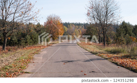 A peaceful autumn road with colorful trees and fallen leaves, perfect for leisurely walks and reflection 124351298
