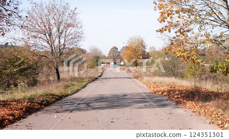 A picturesque autumn pathway lined with majestic trees and colorful fallen leaves, showcasing vibrant colors 124351301