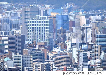 廣島市容（從金山山頂俯瞰） 124351755