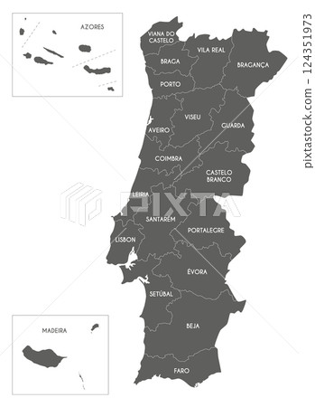 Vector regional map of Portugal with districts, autonomous regions or territories and administrative divisions. Editable and clearly labeled layers. 124351973