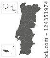 Vector regional blank map of Portugal with districts, autonomous regions or territories and administrative divisions. Editable and clearly labeled layers. 124351974