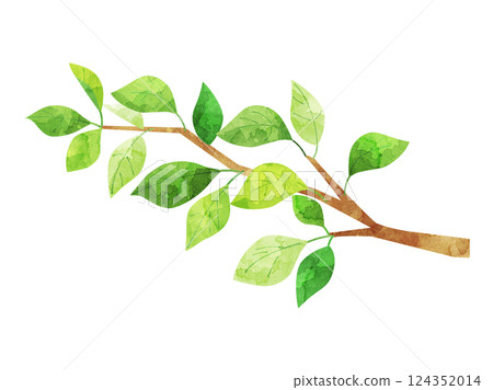 Illustration of a branch with green leaves, watercolor version Illustration of a branch with green leaves, watercolor version 124352014