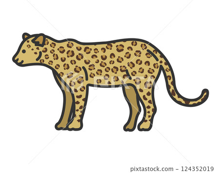 Illustration of an animal, leopard (line drawing, color) Illustration of an animal, leopard (line drawing, color) 124352019