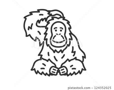 Orangutan (line drawing) illustration 124352025