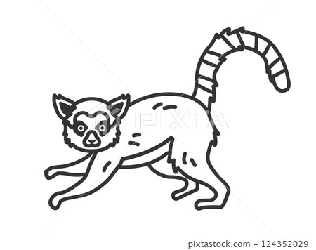 狐猴插圖(線描) 狐猴插圖(線描) 124352029