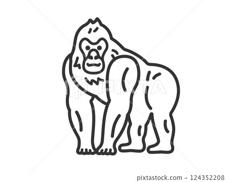 大猩猩(線條描)插圖 大猩猩(線條描)插圖 124352208