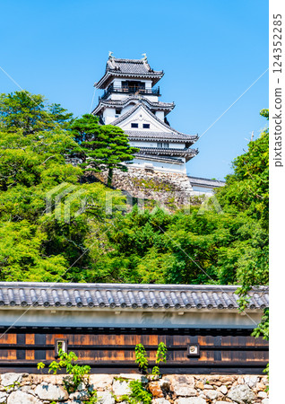 Kochi Castle: Otemae Gate and Tenshu 124352285