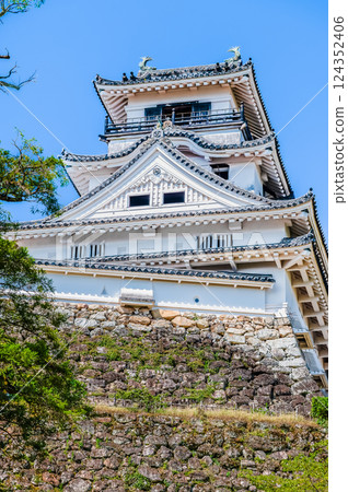 Kochi Castle castle tower Kochi Castle castle tower 124352406