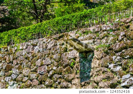 Kochi Castle Stone Gutter 124352416