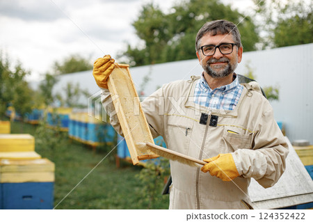Beekeeper removing honeycomb frame from beehive. Farmer wearing bee suit working with honeycomb in apiary. Process of harvesting honey from wooden beehive outdoors. 124352422