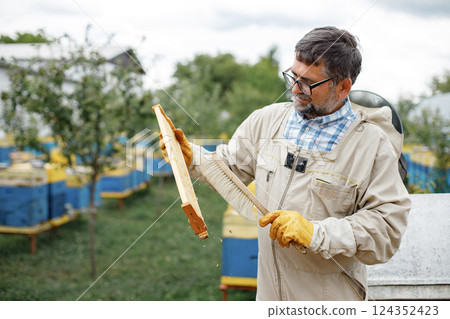 Beekeeper removing honeycomb from beehive. Farmer wearing bee suit working with honeycomb in apiary. Process of harvesting honey from wooden beehive outdoors. Beekeeper removing honeycomb from beehive. Farmer wearing bee suit working with honeycomb in apiary. Process of harvesting honey from wooden beehive outdoors. 124352423