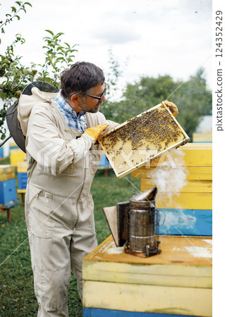 Experienced senior apiarist in his apiary setting a fire in a bee smoker. Beekeeper harvesting honey. Bee smoker is used to calm bees before frame removal. Experienced senior apiarist in his apiary setting a fire in a bee smoker. Beekeeper harvesting honey. Bee smoker is used to calm bees before frame removal. 124352429