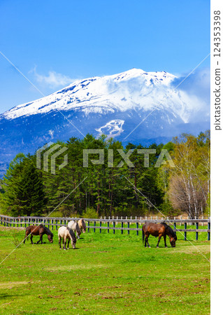 Kiso Ma's Village Kiso Ma's Village 124353398