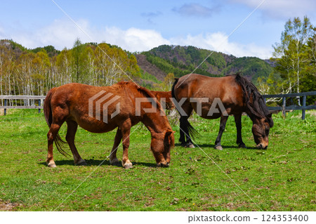 Kiso Ma's Village 124353400