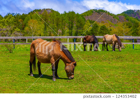 Kiso Ma's Village 124353402