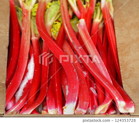Rhubarb Rhubarb 124353728