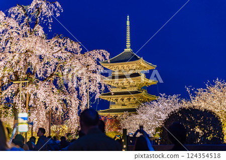 Spring cherry blossoms at Toji Temple in Kyoto Prefecture 124354518