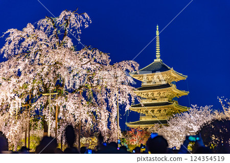 Spring cherry blossoms at Toji Temple in Kyoto Prefecture Spring cherry blossoms at Toji Temple in Kyoto Prefecture 124354519